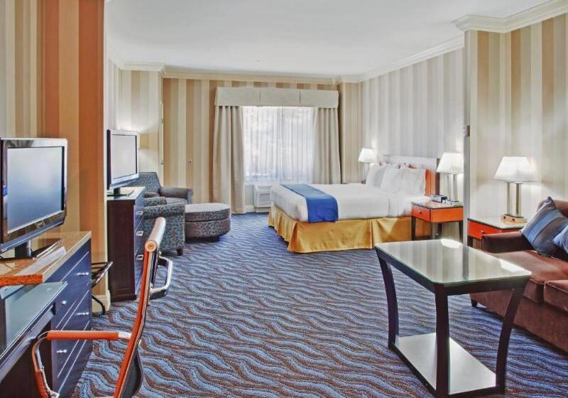 سوئیت با تخت بزرگ, Holiday Inn Express  & Suites Santa Cruz