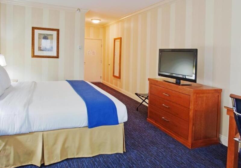 اتاق استاندارد با تخت بزرگ, Holiday Inn Express  & Suites Santa Cruz
