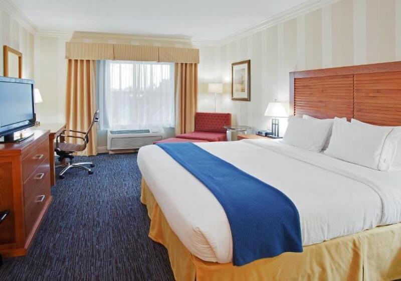 اتاق استاندارد با تخت بزرگ, Holiday Inn Express  & Suites Santa Cruz