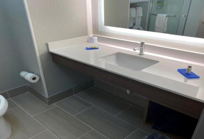 سوئیت با تخت بزرگ, Holiday Inn Express & Suites   Enterprise, An Ihg