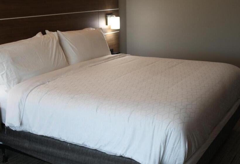 سوئیت با تخت بزرگ, Holiday Inn Express & Suites   Enterprise, An Ihg