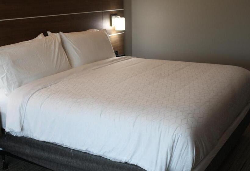 Suite King Bed, Holiday Inn Express  And Suites Enterprise