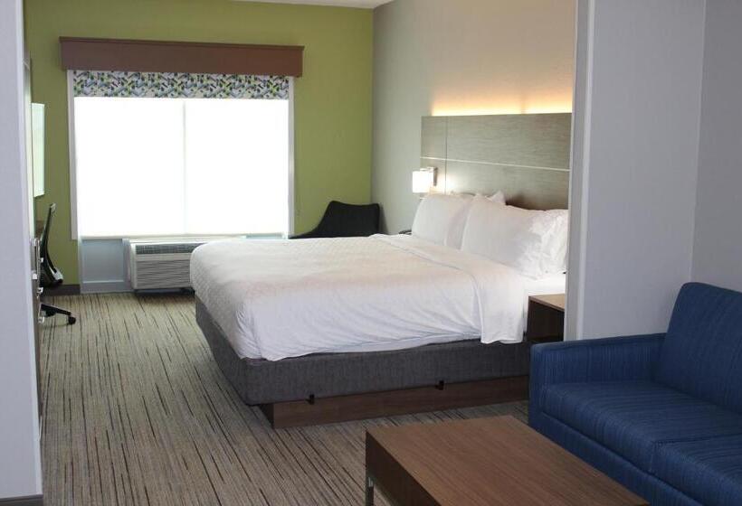 Suite King Bed, Holiday Inn Express  And Suites Enterprise