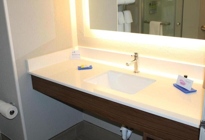 Suite Adapted for people with reduced mobility, Holiday Inn Express  And Suites Enterprise