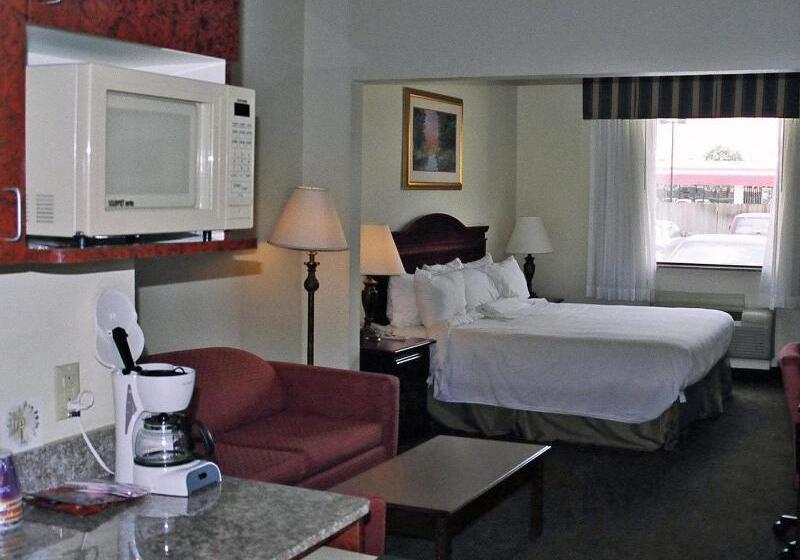 اتاق استاندارد با تخت بزرگ, Holiday Inn Express And Suites Greenville, An Ihg