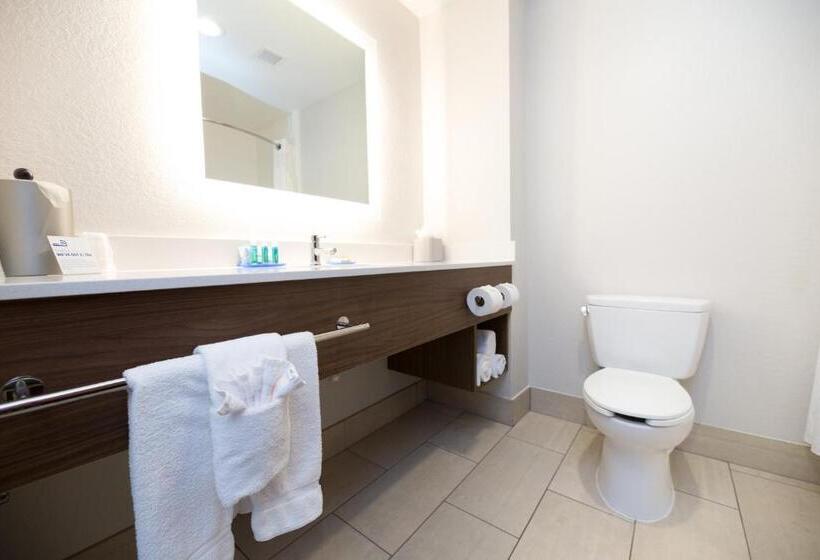 سوئیت با تخت بزرگ, Holiday Inn Express Hotel & Suites Clinton, An Ihg