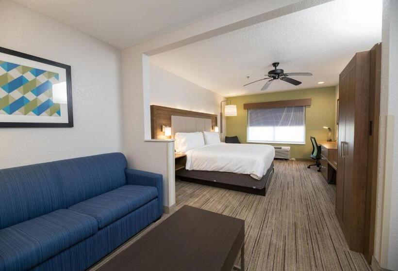 سوئیت با تخت بزرگ, Holiday Inn Express Hotel & Suites Clinton, An Ihg