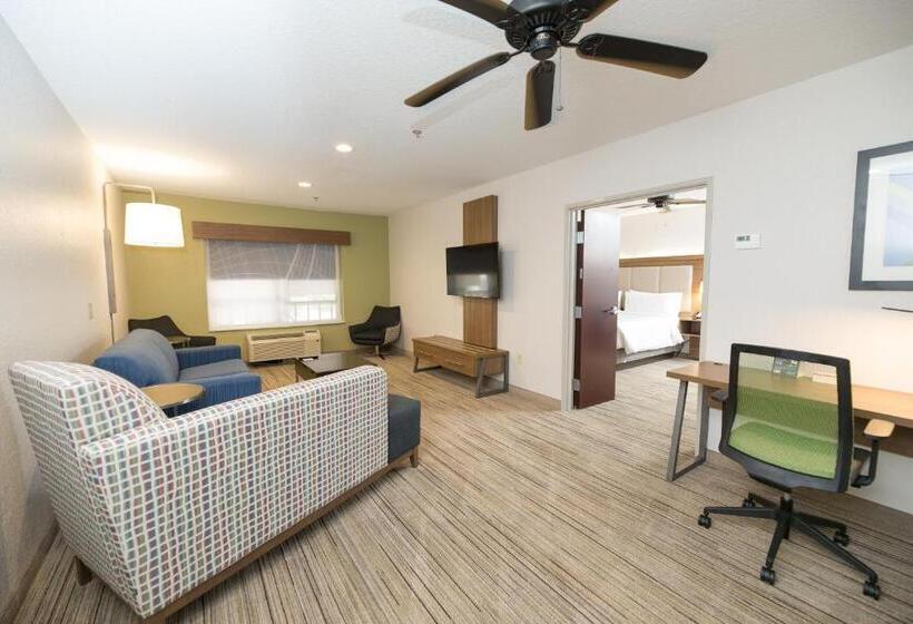 سوئیت با تخت بزرگ, Holiday Inn Express Hotel & Suites Clinton, An Ihg