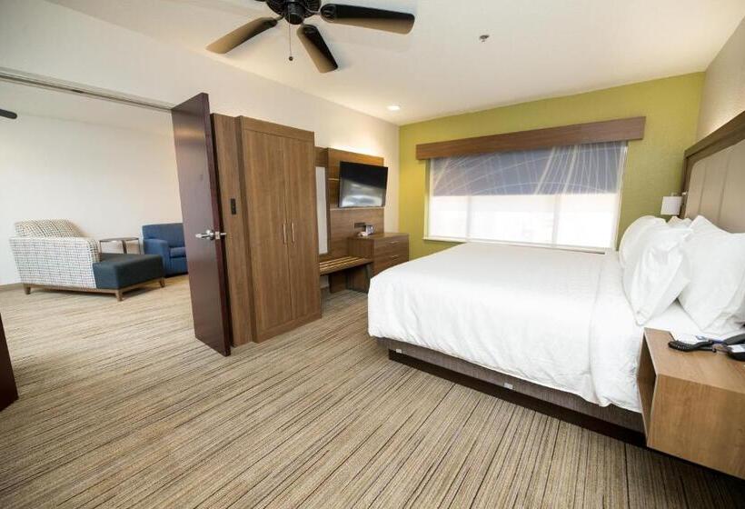 اتاق اجرایی با تخت بزرگ, Holiday Inn Express Hotel & Suites Clinton, An Ihg