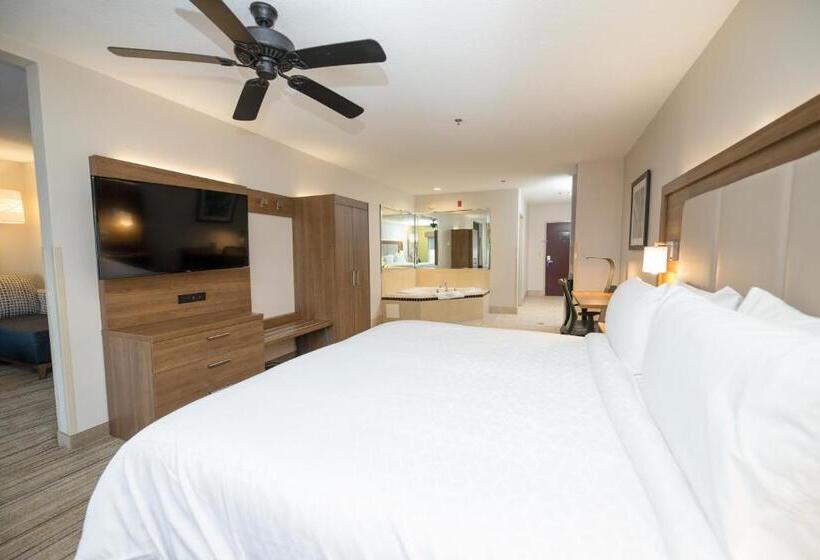 اتاق استاندارد با تخت بزرگ برای معلولان, Holiday Inn Express Hotel & Suites Clinton, An Ihg