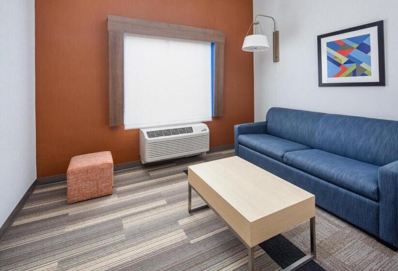 استودیو استاندارد با تخت کینگ, Holiday Inn Express Ontario, An Ihg