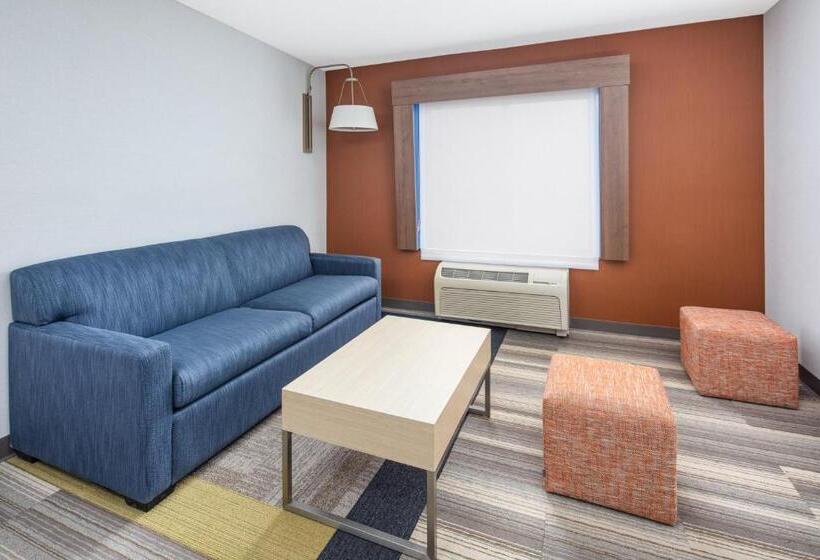 إستوديو قياسى سرير كينج, Holiday Inn Express Ontario