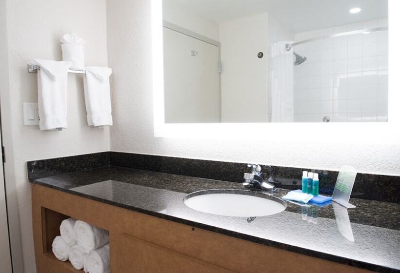 Quarto Standard 2 Camas Casal, Holiday Inn Express Pascagoulamoss Point