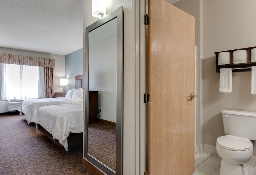 اتاق استاندارد با 2 تخت دوبل, Holiday Inn Express St. Cloud