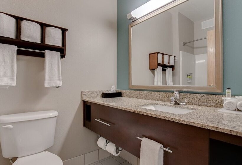 سوییت, Holiday Inn Express And Suites St. Cloud, An Ihg