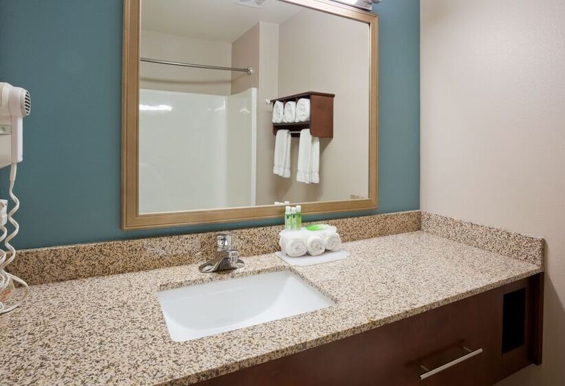 Suite, Holiday Inn Express St. Cloud