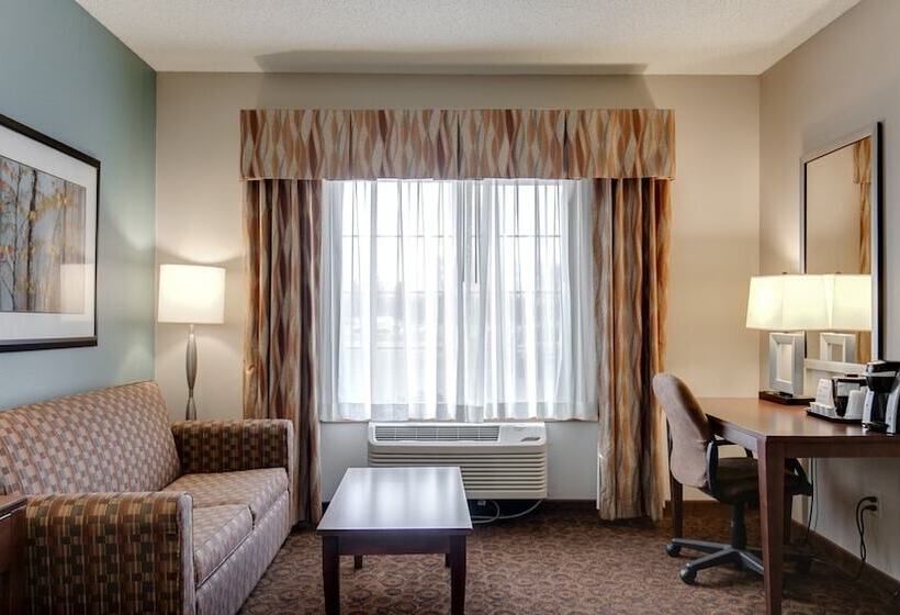 Suite, Holiday Inn Express St. Cloud