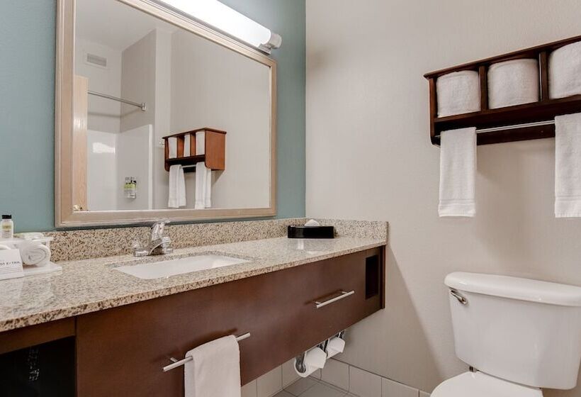 اتاق استاندارد برای معلولان, Holiday Inn Express And Suites St. Cloud, An Ihg