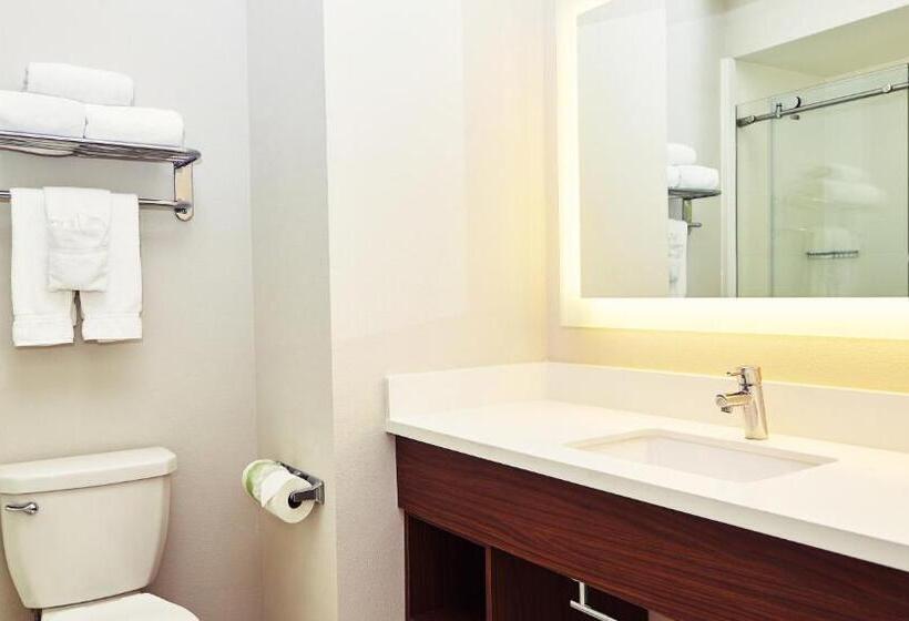 اتاق اجرایی با تخت بزرگ, Holiday Inn Express & Suites Corona, An Ihg