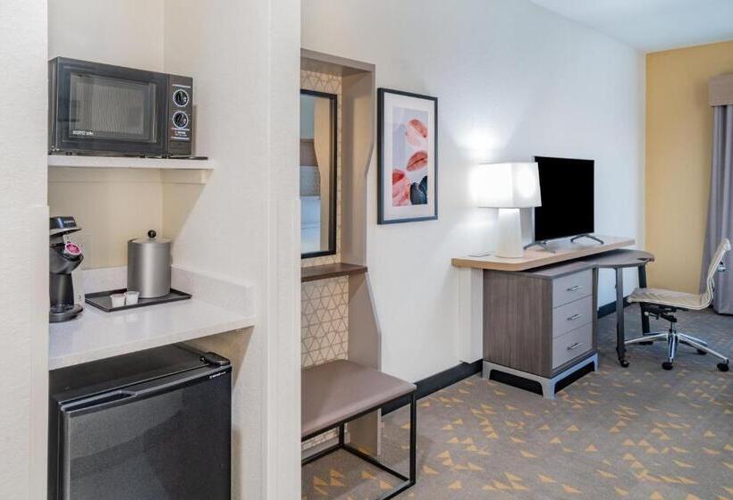 اتاق اجرایی با تخت بزرگ, Holiday Inn Southaven Central   Memphis, An Ihg