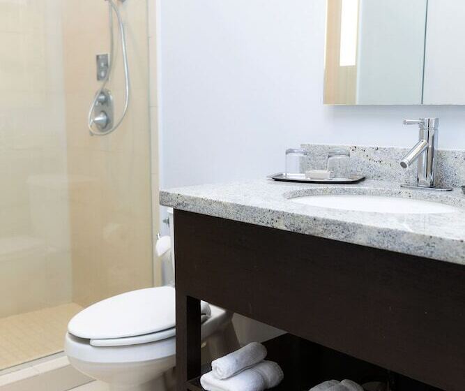 اتاق استاندارد با 2 تخت دوبل, Indigo Baton Rouge Downtown, An Ihg