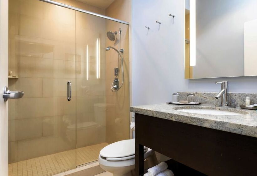 اتاق استاندارد, Indigo Baton Rouge Downtown, An Ihg