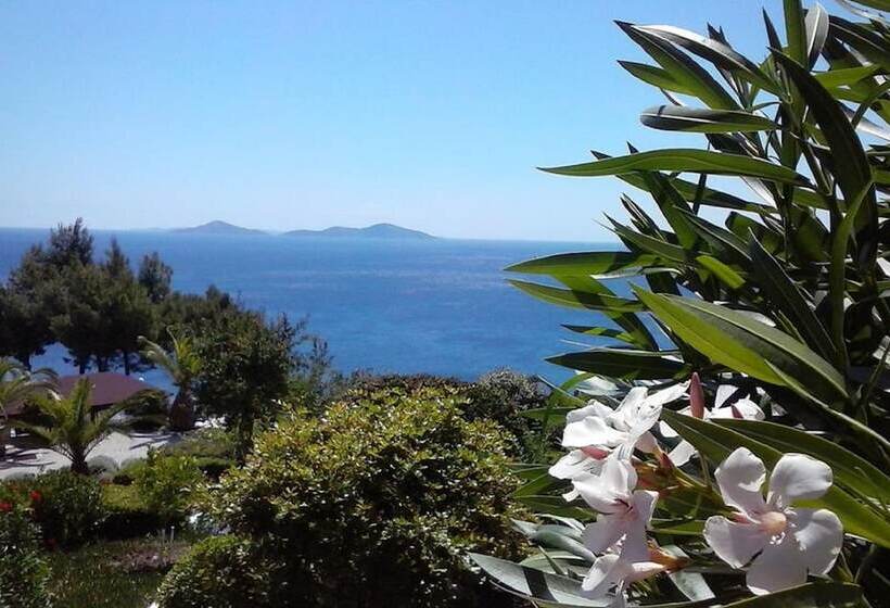 آپارتمان 1 خوابه با چشم‌انداز دریا, Milia Bay Hotel Apartments