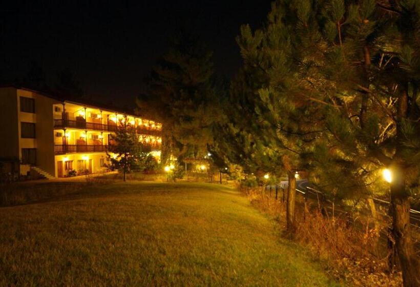 اتاق استاندارد سه نفره, Milionis Forest
