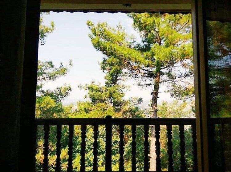 اتاق استاندارد یک نفره, Milionis Forest