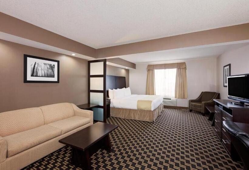 استودیو استاندارد با تخت کینگ, Ramada By Wyndham Cold Lake