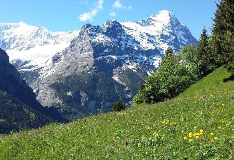 اتاق استاندارد با چشم‌انداز کوهستان, Tschuggen