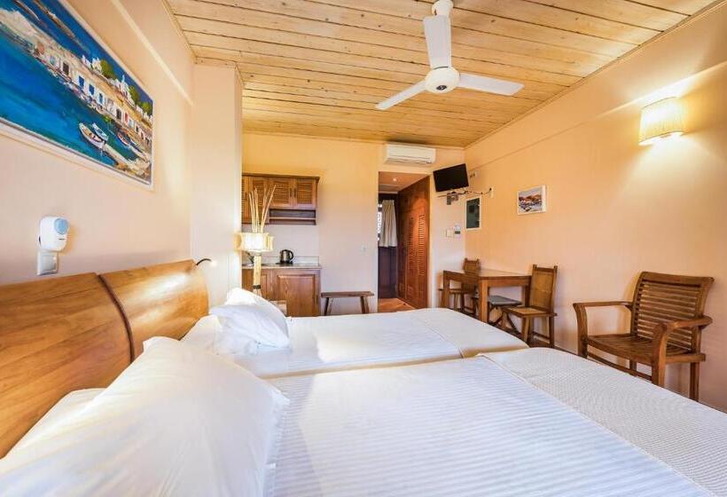 اتاق سوپریور با چشم‌انداز دریا, Rastoni Hotel Aegina