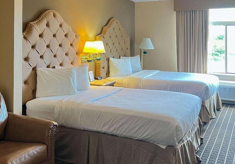 اتاق استاندارد یک نفره, Heiwadai Hotel Tenjin