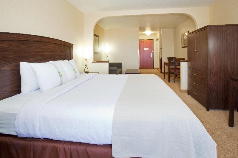 اتاق استاندارد با تخت بزرگ, Holiday Inn Denver Parker E470/parker Road By Ihg
