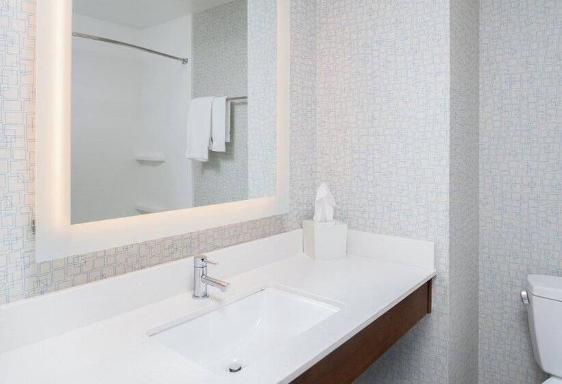 Номер Стандарт, Holiday Inn Express Hotel & Suites Bismarck By Ihg