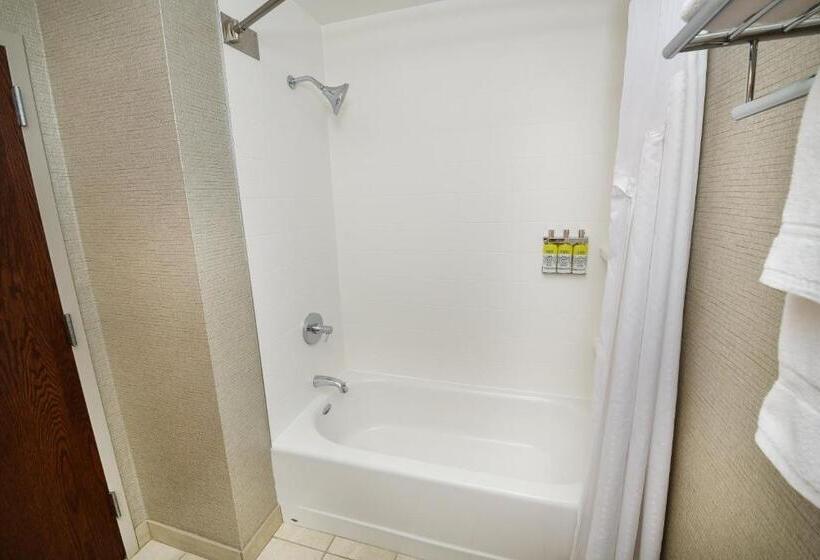 带大床的套房, Holiday Inn Express Hotel & Suites Grand Forks, An Ihg