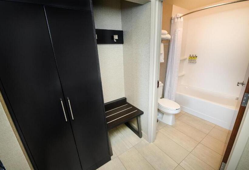 带大床的套房, Holiday Inn Express Hotel & Suites Grand Forks, An Ihg