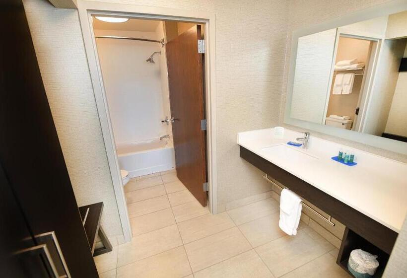 带大床的套房, Holiday Inn Express Hotel & Suites Grand Forks, An Ihg