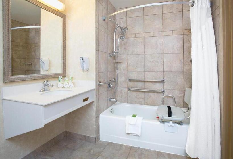 장애인을 위한 킹사이즈 침대 스탠다드 룸, Holiday Inn Express Hotel & Suites Minot South, An Ihg