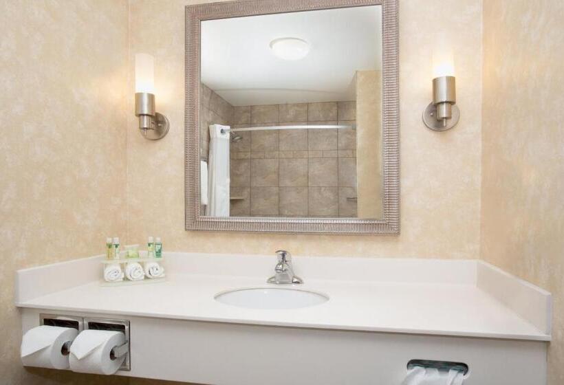 스탠다드 룸 킹사이즈 침대, Holiday Inn Express Hotel & Suites Minot South, An Ihg