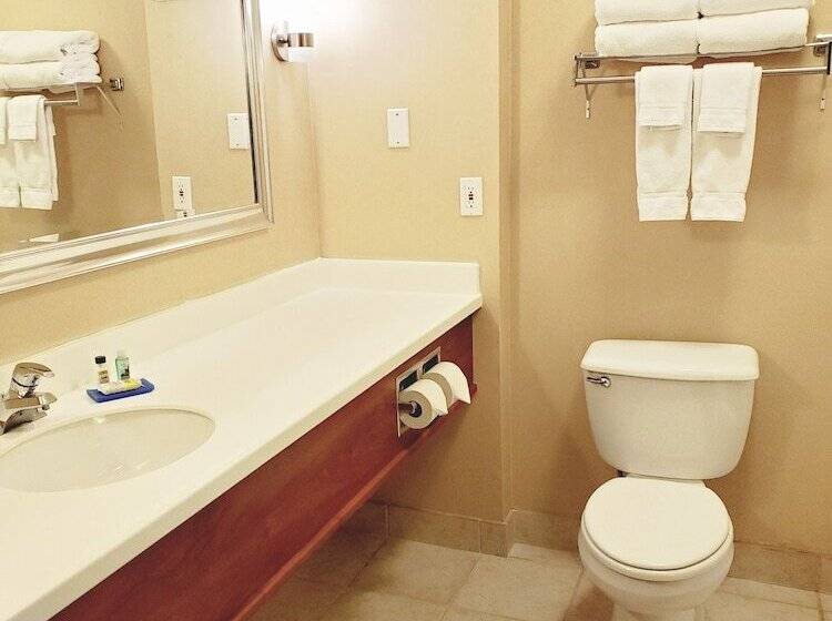 اتاق استاندارد, Holiday Inn Express Hotel & Suites Portland Northwest Downtown, An Ihg