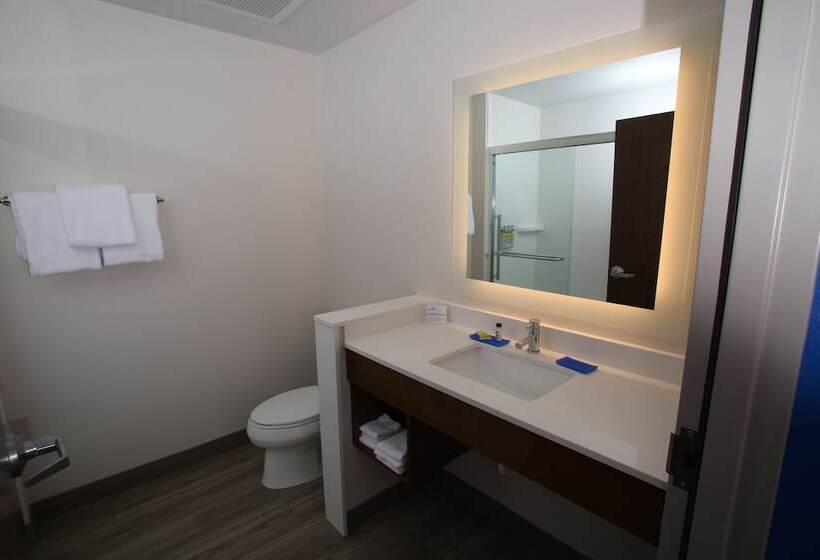 اتاق استاندارد, Holiday Inn Express Hotel And Suites Lincoln Airport, An Ihg