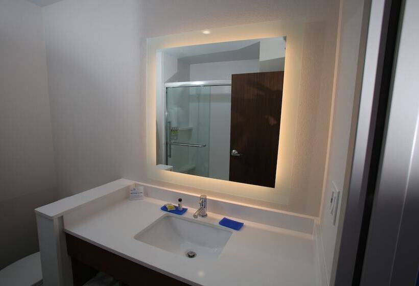 اتاق استاندارد, Holiday Inn Express Hotel And Suites Lincoln Airport, An Ihg