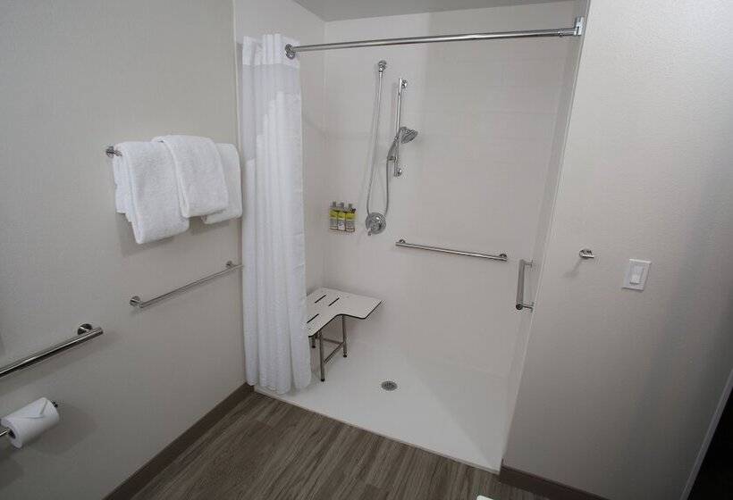 اتاق استاندارد برای معلولان, Holiday Inn Express Hotel And Suites Lincoln Airport, An Ihg