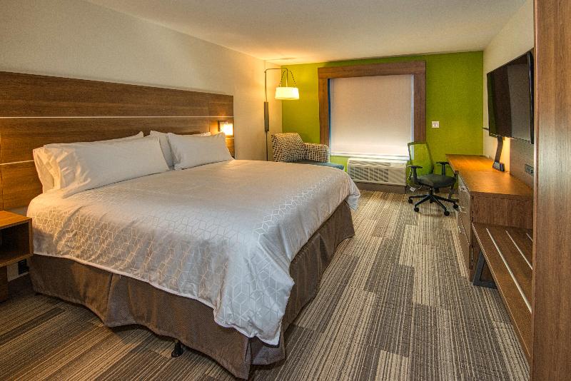 سوئیت با تخت بزرگ, Holiday Inn Express  And Suites Lincoln Airport