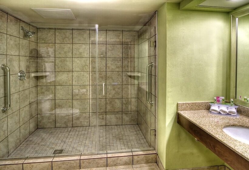 سوییت, Holiday Inn Express Greenville, An Ihg