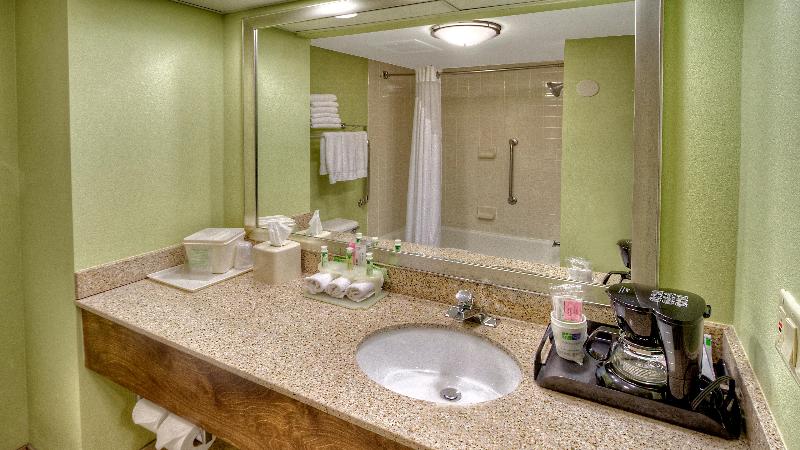 اتاق استاندارد با تخت بزرگ, Holiday Inn Express Greenville, An Ihg