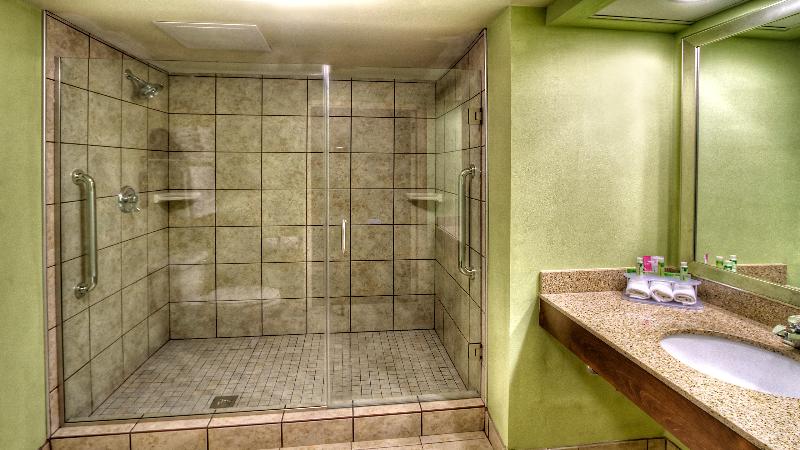 اتاق استاندارد با تخت بزرگ, Holiday Inn Express Greenville, An Ihg