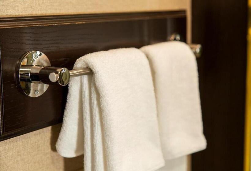اتاق لوکس, Kyoto Yamashina Hotel Sanraku