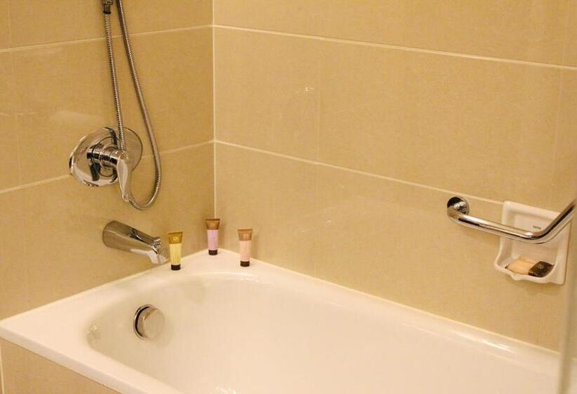 اتاق سوپریور با تخت دو نفره بزرگ, Tianjin Saixiang